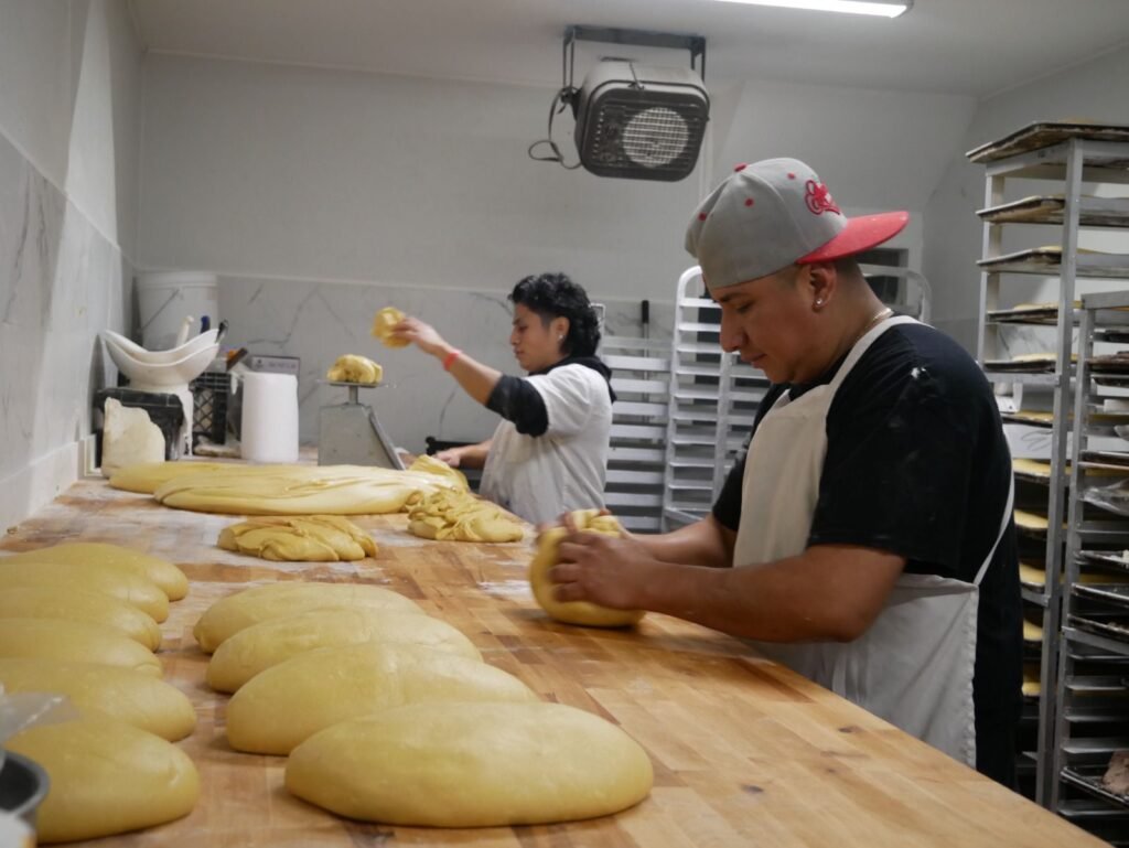 whatsapp image 2026 01 05 at 12.25.07 pm (5)